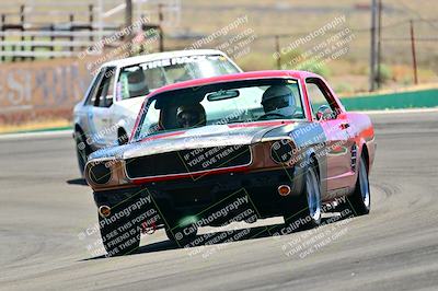 media/May-11-2025-Cobra Club (Sun) [[44ca44ec33]]/Passenger/